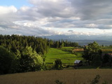 P8140040_resize.JPG